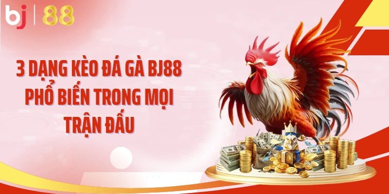 3 Dạng kèo đá gà BJ88 phổ biến trong mọi trận đấu