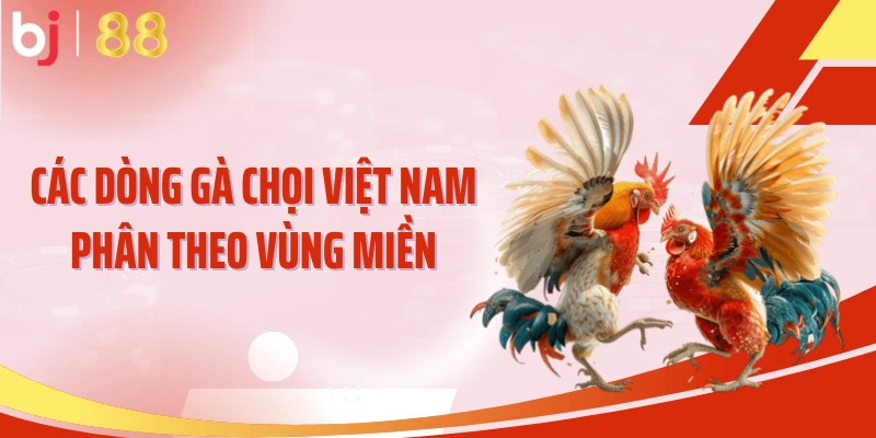 Các dòng gà chọi Việt Nam phân theo vùng miền
