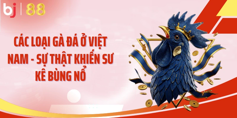 Các loại gà đá ở Việt Nam