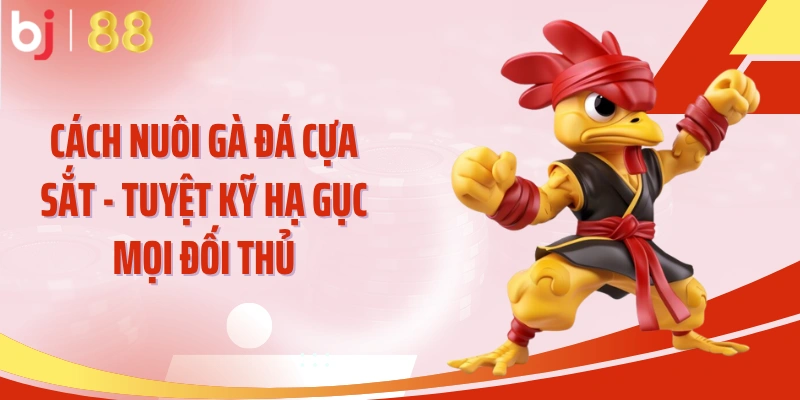 Cách Nuôi Gà Đá Cựa Sắt
