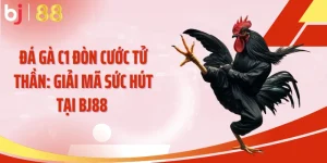 Đá Gà C1
