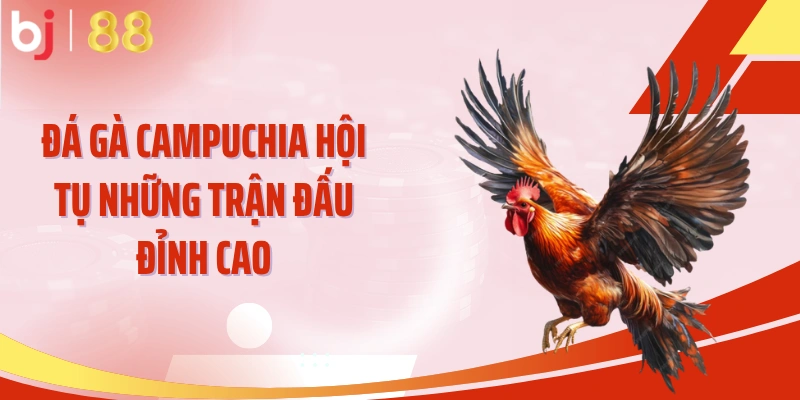 Đá gà Campuchia hội tụ những trận đấu đỉnh cao