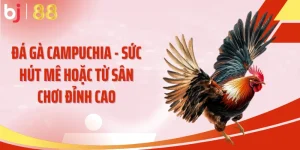 Đá Gà Campuchia