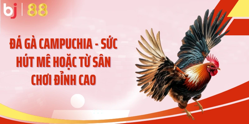 Đá Gà Campuchia