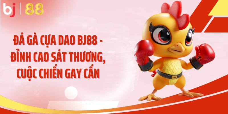 Đá Gà Cựa Dao