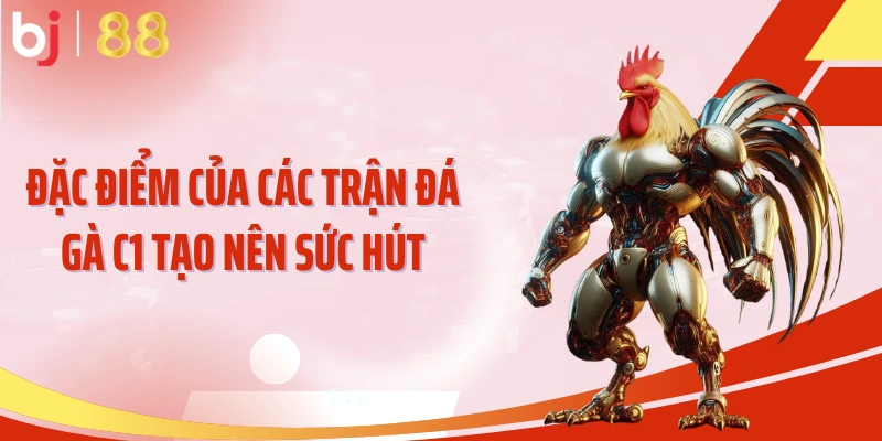 Đặc điểm của các trận đá gà C1 tạo nên sức hút