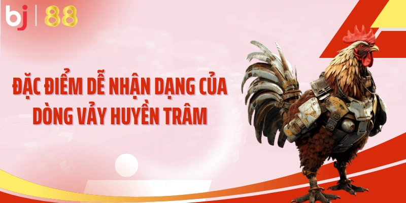 Đặc điểm dễ nhận dạng của dòng vảy huyền trâm