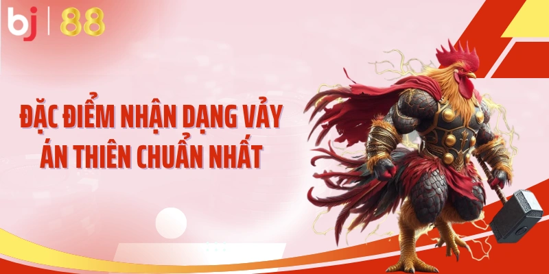 Đặc điểm nhận dạng vảy án thiên chuẩn nhất