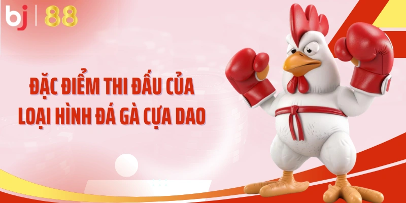 Đặc điểm thi đấu của loại hình đá gà cựa dao