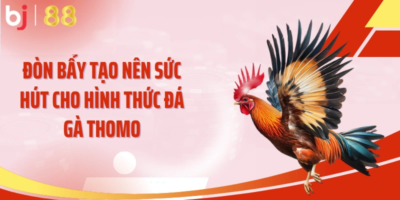 Đòn bẩy tạo nên sức hút cho hình thức đá gà Thomo