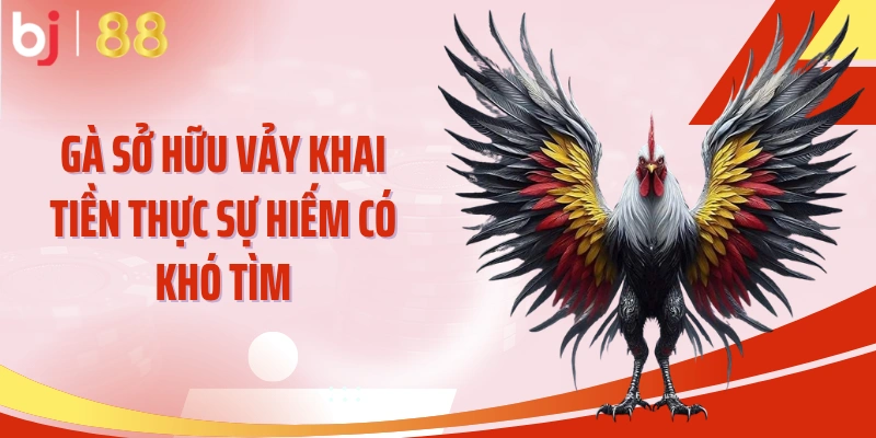 Gà sở hữu vảy khai tiền thực sự hiếm có khó tìm