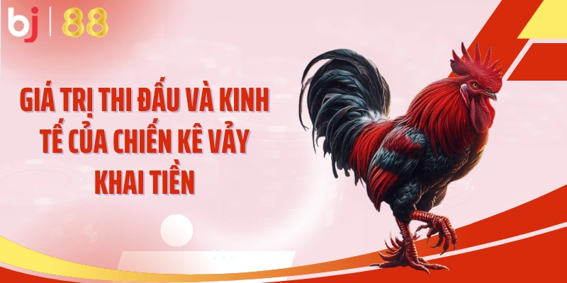 Giá trị thi đấu và kinh tế của chiến kê vảy khai tiền