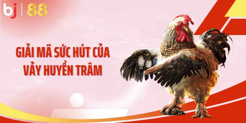 Giải mã sức hút của Vảy Huyền Trâm