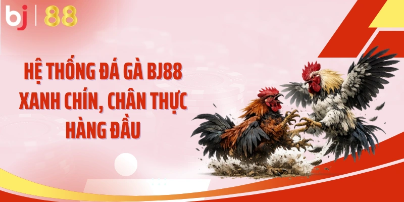 Hệ thống đá gà BJ88 xanh chín, chân thực hàng đầu