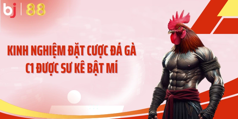 Kinh nghiệm đặt cược đá gà C1 được sư kê bật mí