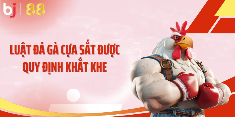 Luật đá gà cựa sắt được quy định khắt khe