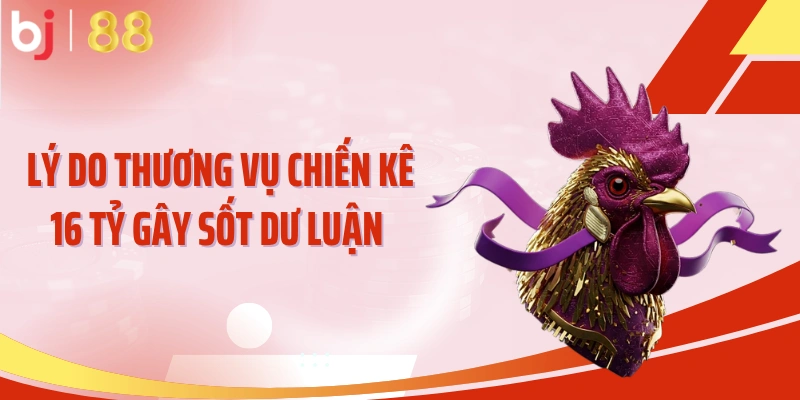 Lý do thương vụ chiến kê 16 tỷ gây sốt dư luận 