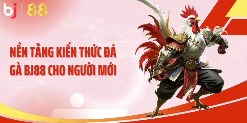 Nền tảng kiến thức đá gà BJ88 cho người mới