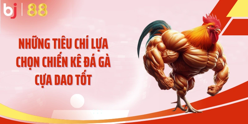Những tiêu chí lựa chọn chiến kê đá gà cựa dao tốt