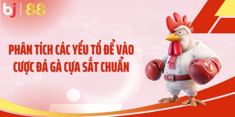 Phân tích các yếu tố để vào cược đá gà cựa sắt chuẩn