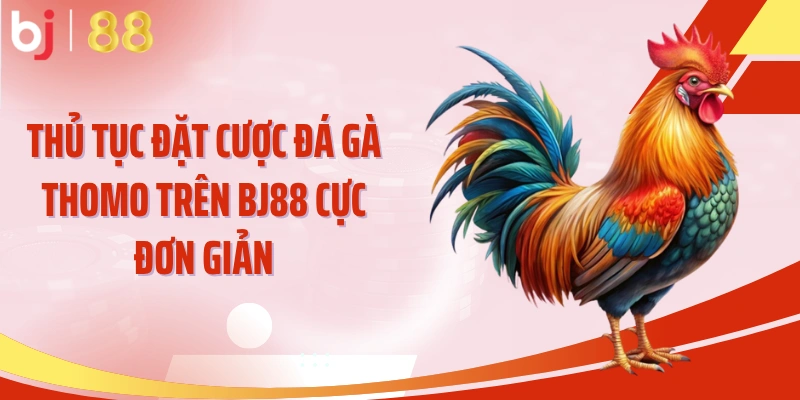 Thủ tục đặt cược đá gà Thomo trên BJ88 cực đơn giản