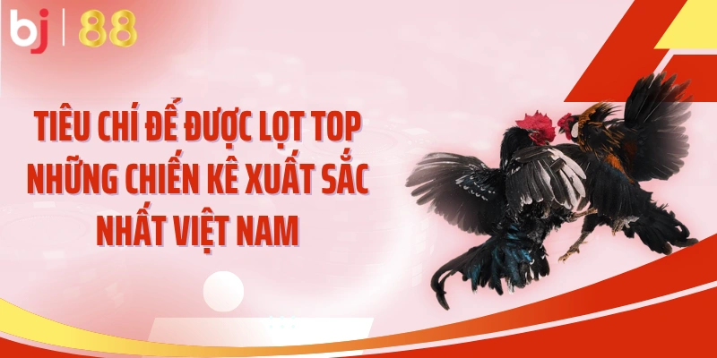 Tiêu chí để được lọt top những chiến kê xuất sắc nhất Việt Nam