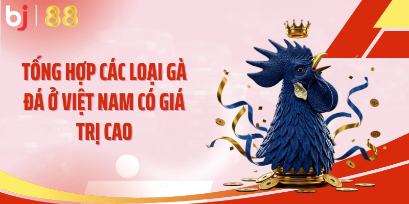 Tổng hợp các loại gà đá ở Việt Nam có giá trị cao