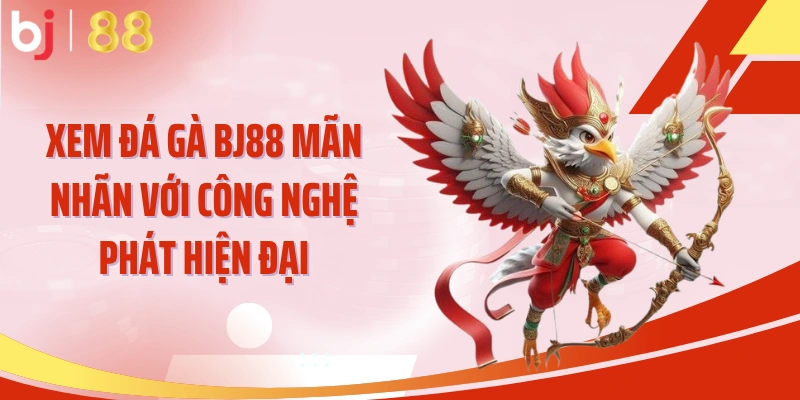 Xem đá gà BJ88 mãn nhãn với công nghệ phát hiện đại